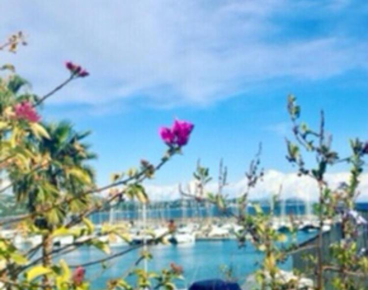 Petit Cocon Magnifique Vue Sur Marina Dans Le Golfe De Saint Tropez Apartamento Cogolin Exterior foto